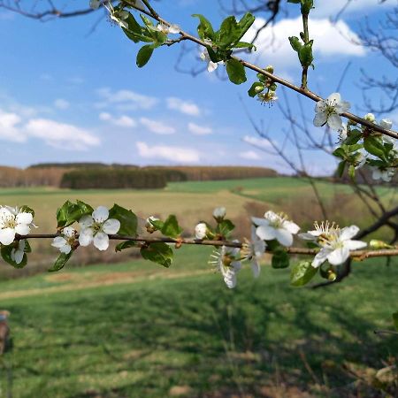 Ferienhaus Sinneswandel Sehmatal Zewnętrze zdjęcie